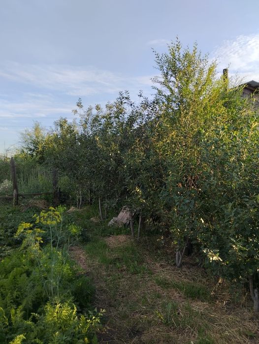 Продам или обмен Дома