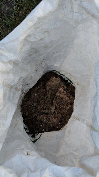 Gunoi ,,găinaț de porumbel" îngrășământ natural