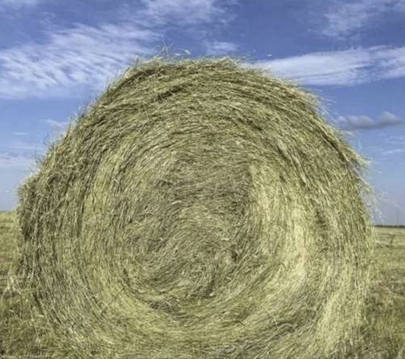 Продам рулон сено