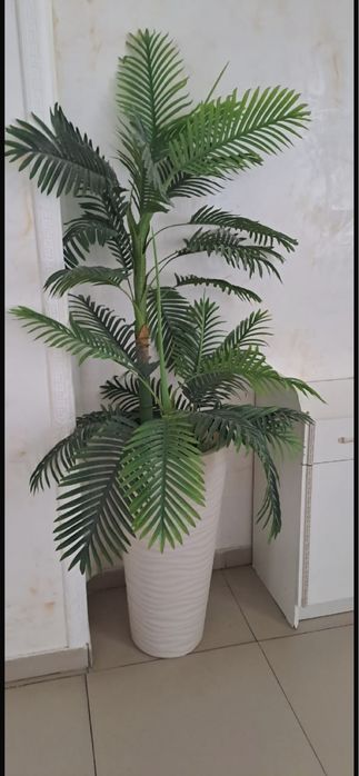 цветы для интерьера