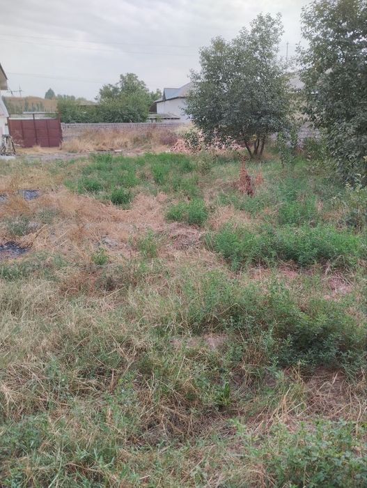 Yangi Toshkenta Qurug' yer Sotiladi -Bo'lib  to'lashgayam beriladi