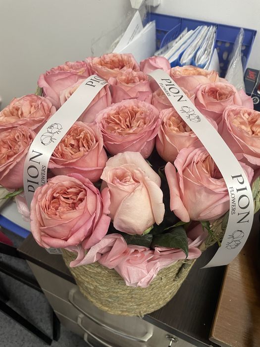 Pione flowers perfect