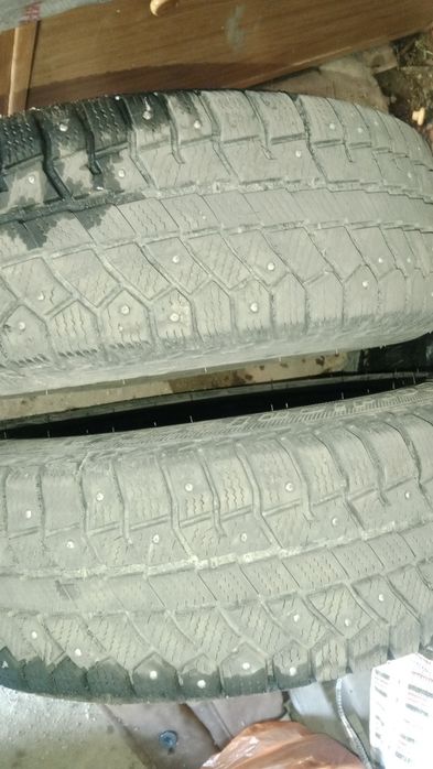 Зимние шины Кордиант