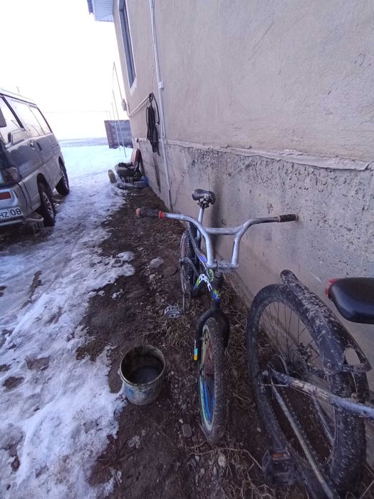 Барыс велик хороши