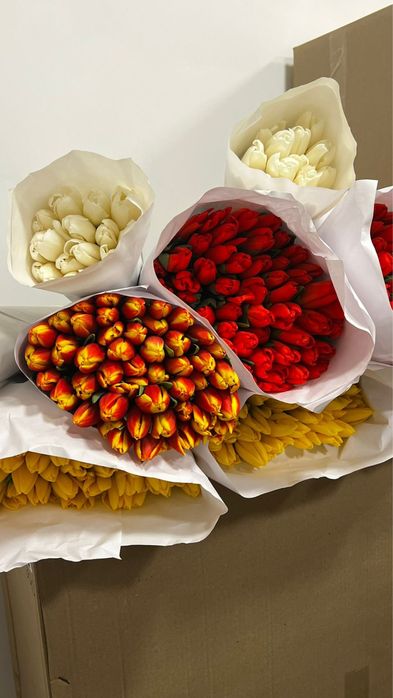 оптом тюльпанчики