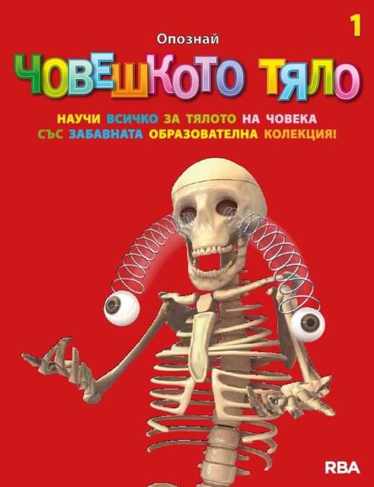 Човешкото тяло от 1 до 14 брой