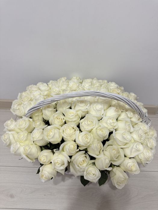 51/101 роза свежие