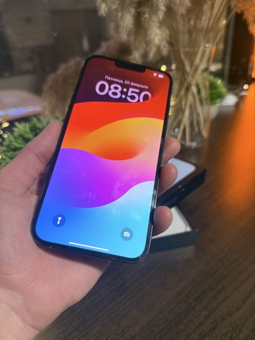 iPhone 13 Pro Max 256