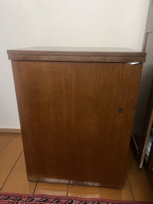 Chayka tikuv mashinasi