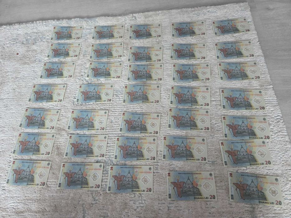 Bancnote comemorative 20 lei Ecaterina Teodoroiu