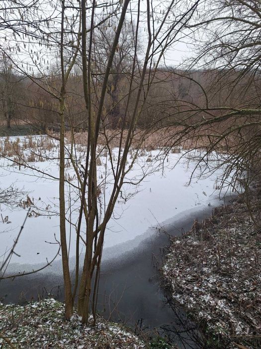 Имот,подходящ за ваканционно селище,имение с езеро,рибарници.