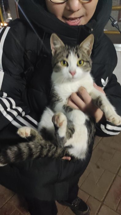 Домашний питомец