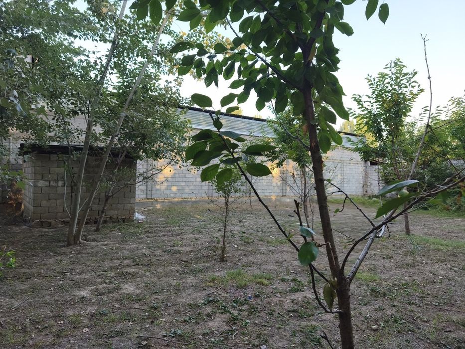Chek sotiladi 7.8 sotik narx kelishiladi