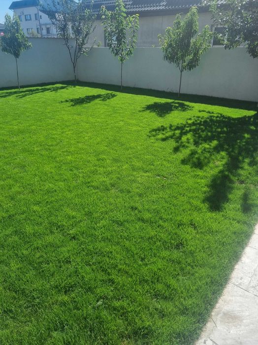 Gazon Rulou și Sisteme de Irigație