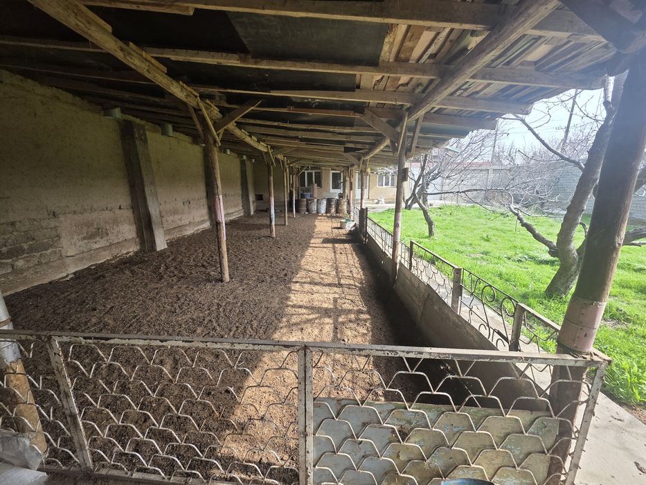 Кибрай Бугор земельный участок 6  соток .