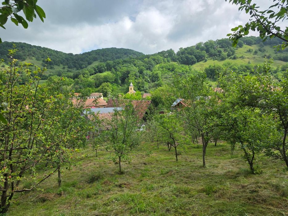 Casa de vanzare Salcau