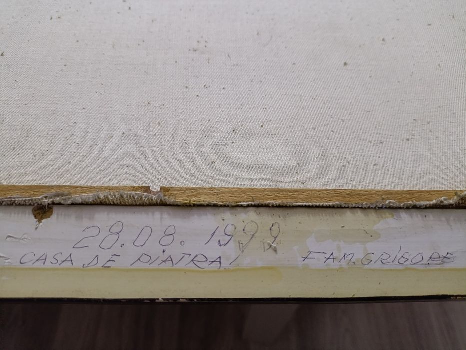 Tablou Pictat "Canoe sub cerul de chihlimbar" Anul 1999