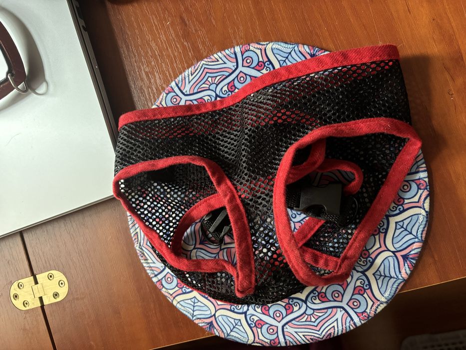 Ошейник, шлейка доя собак