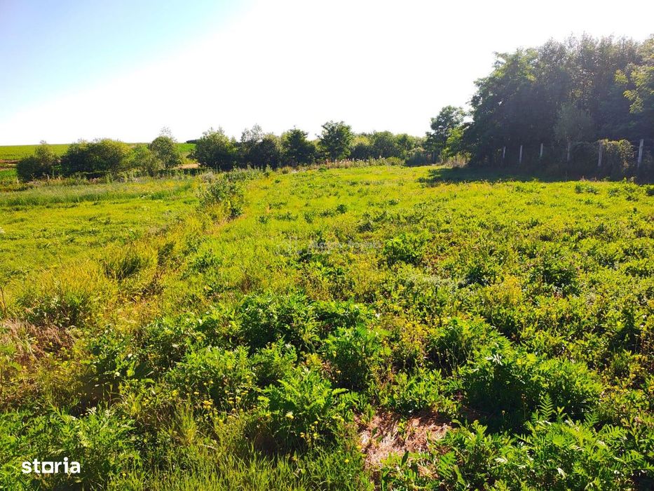 Teren 18.247 mp cu balta de pescuit – Misca, Comuna Chislaz, Bihor