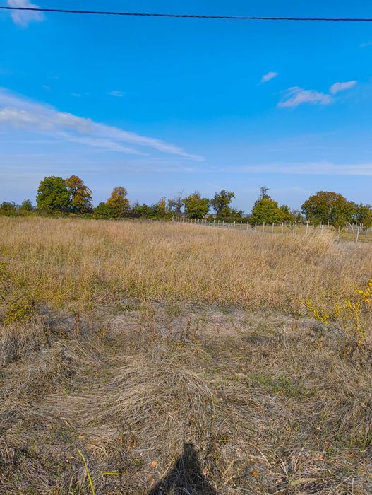 Продава се Парцел в с. Козаново, Област Пловдив - 759 кв.м за 40 €/кв.м - Снимка #7