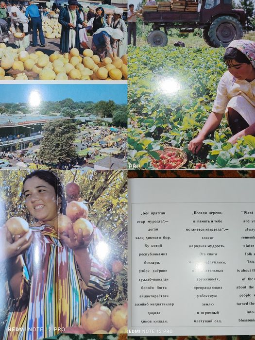 Книга "Сады Узбекистана".