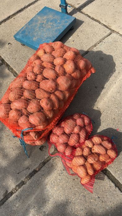 Cartofi albi/rosi  pentru consum