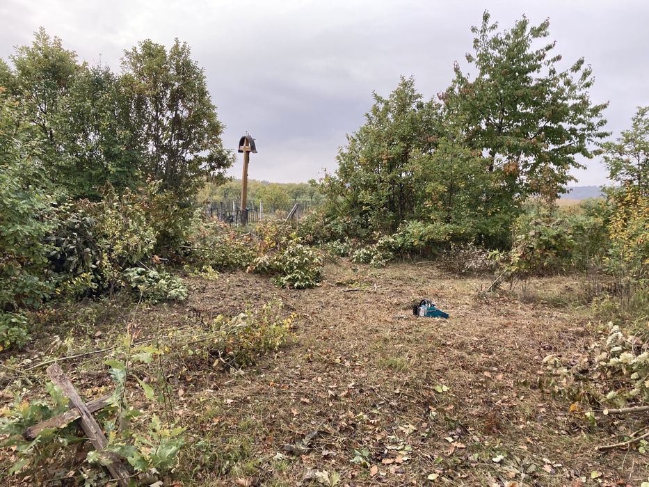 Curatare si defrisari terenuri, amenanjare livezi, garduri etc