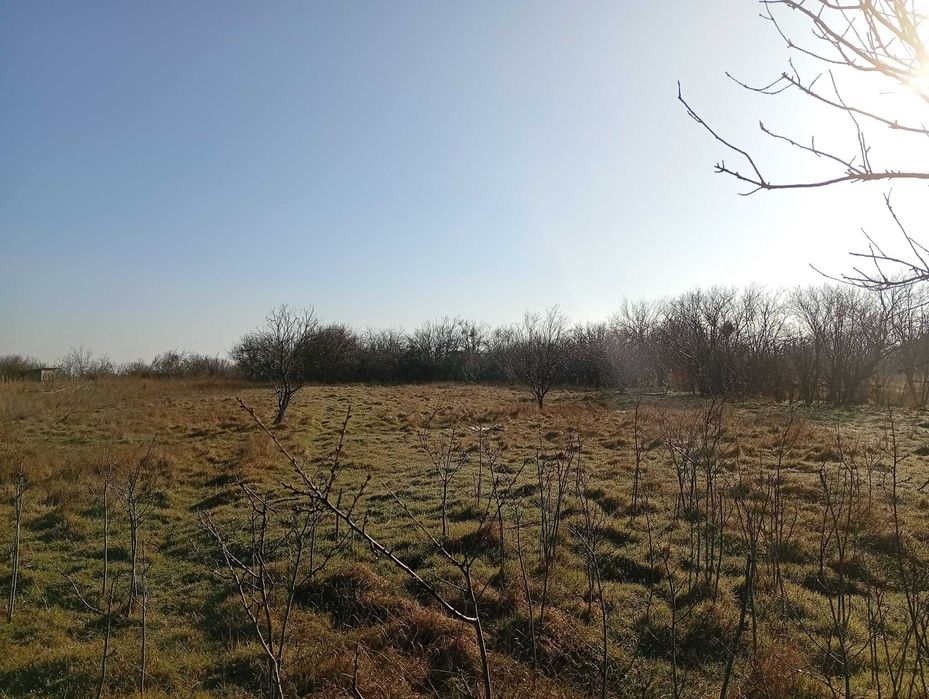 Teren de vanzare Techirghiol