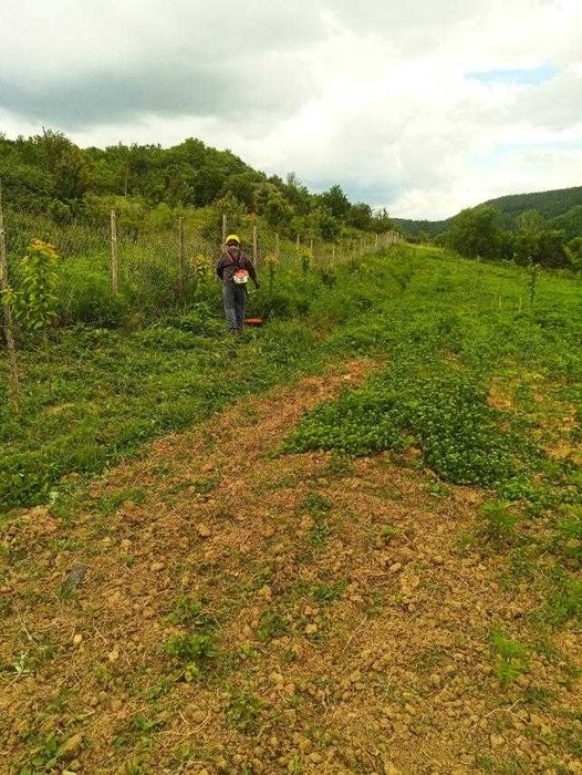 Продава се Земеделски имот в с. Згурово, Област Кюстендил -  кв.м за 3825 €/дка - Снимка #5