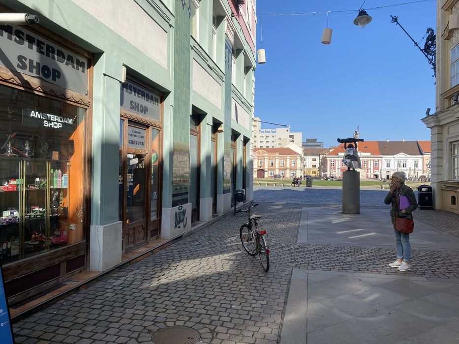 Spatiu comercial Piata Unirii