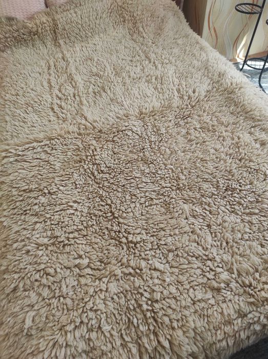 Родопски китеници