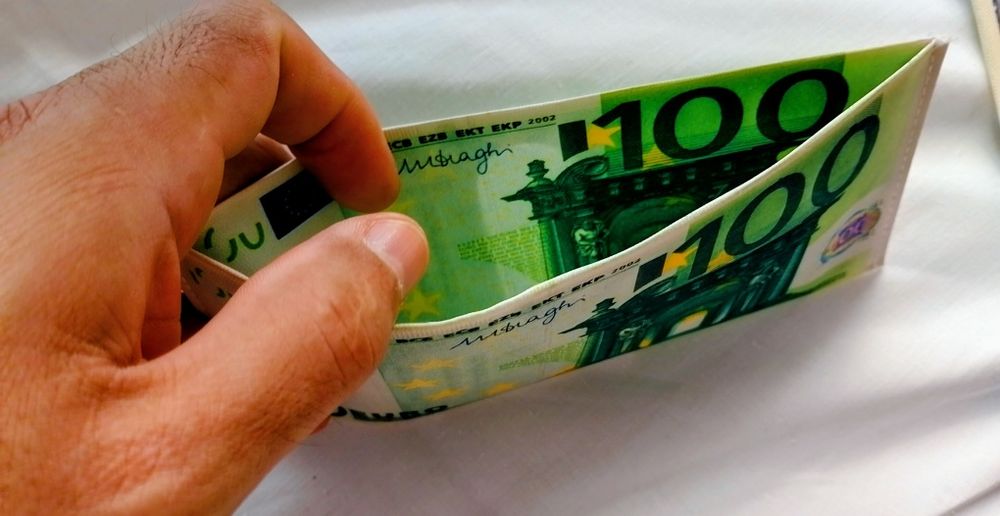 Портмоне 100 ,200,500 евро винил