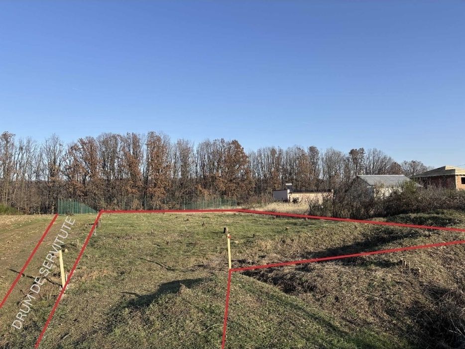 Vând Teren Moșoaia.