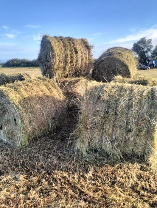продам СЕНО!!! свежий покос.