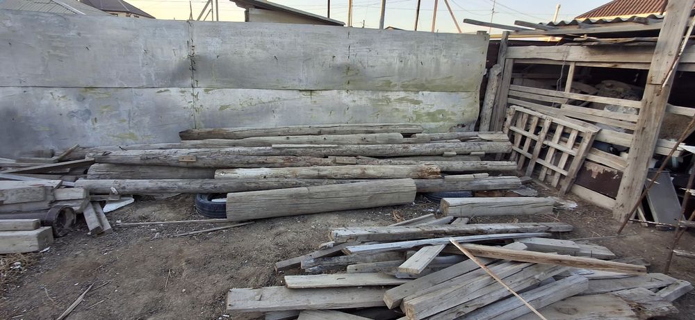 Кругляк тастама ..