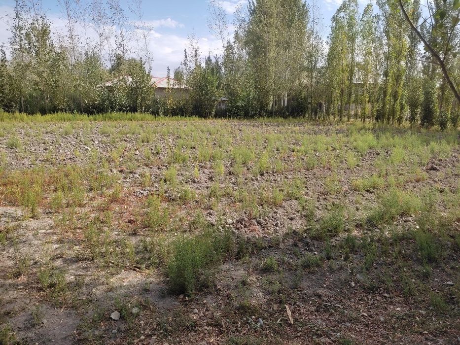 Уй жой учун ер майдони сотилади