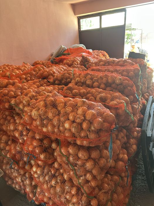 Ceapă de vânzare 1.5 lei