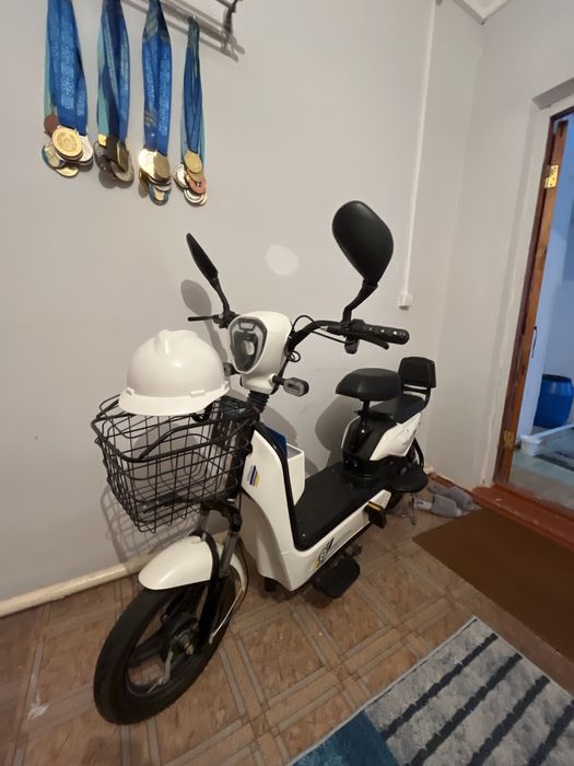 Скуткр бәрі жақсы жұмыс істейді