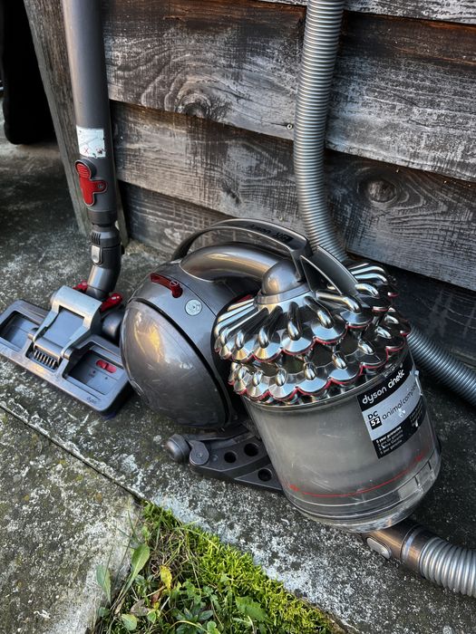 Dyson BigBall Allergy si Dyson DC 52 Animal