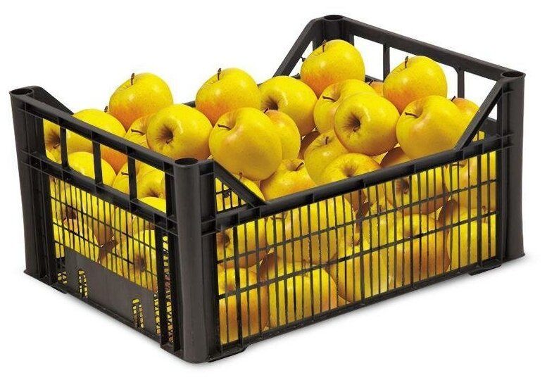 Ящик для хранения 100 шт