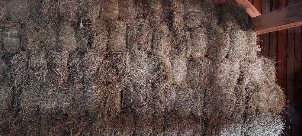 De vânzare baloți de fân, lucernă ! Se asigura transport!