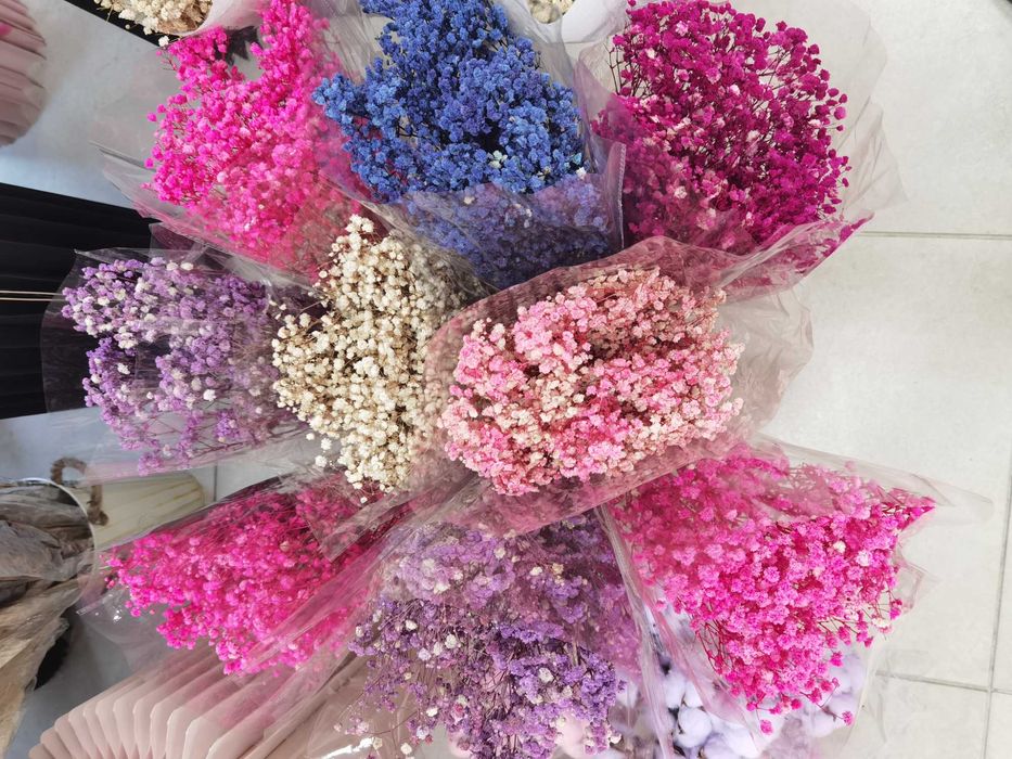 Сухи цветя - пампас, гипсофил, статица, хортензия и други