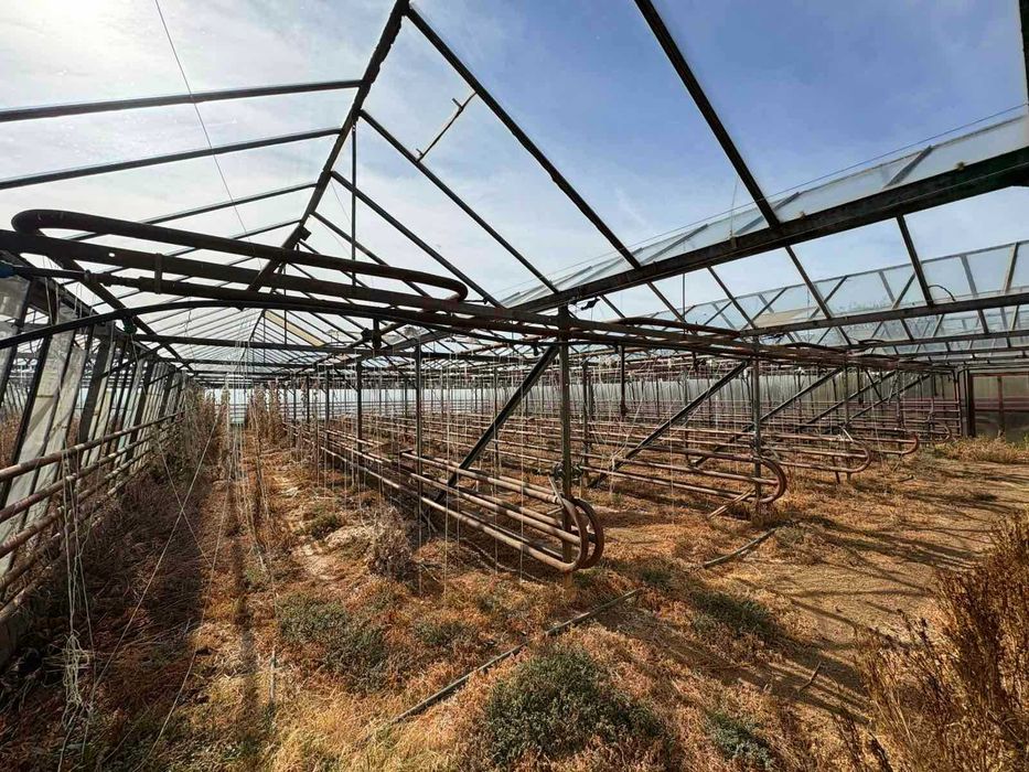 Дава се под наем Земеделски имот в Бухово -  кв.м за 629.34 € - Снимка #2