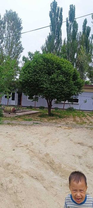 Шошилинч нотурар чойхона сотилади