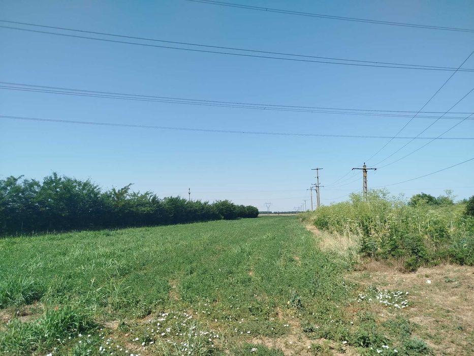 Teren intravilan de vanzare