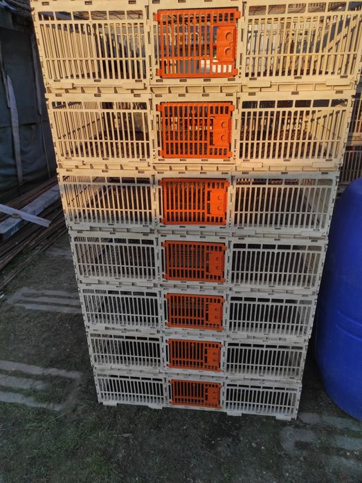 Cuști Italia pui,porumbei prepelițe.