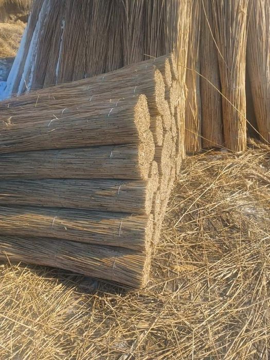 Vând stuf 2023/2024