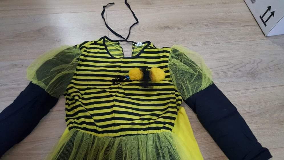 Costumas carnaval Albinuta