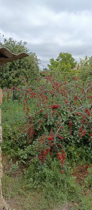 Дом п. Деркул , Селекционная.