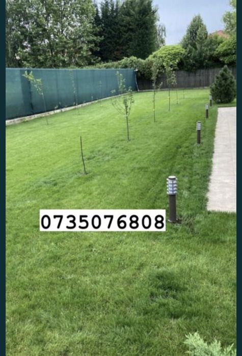 Tăiem lemne , facem curățenie , debarasam